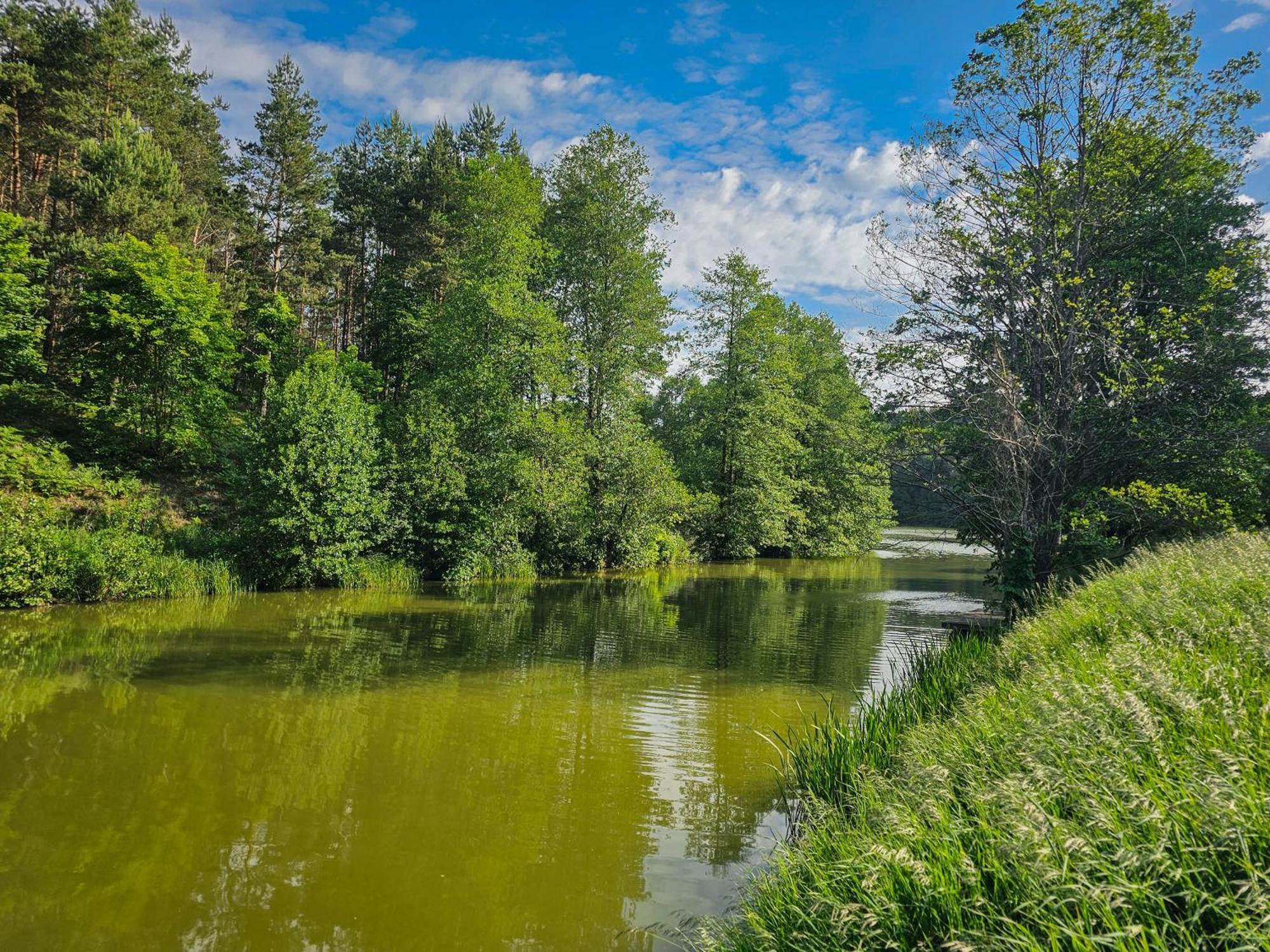 Dom Pod Klonem Na Kaszubach Villa Koscierzyna Exterior photo