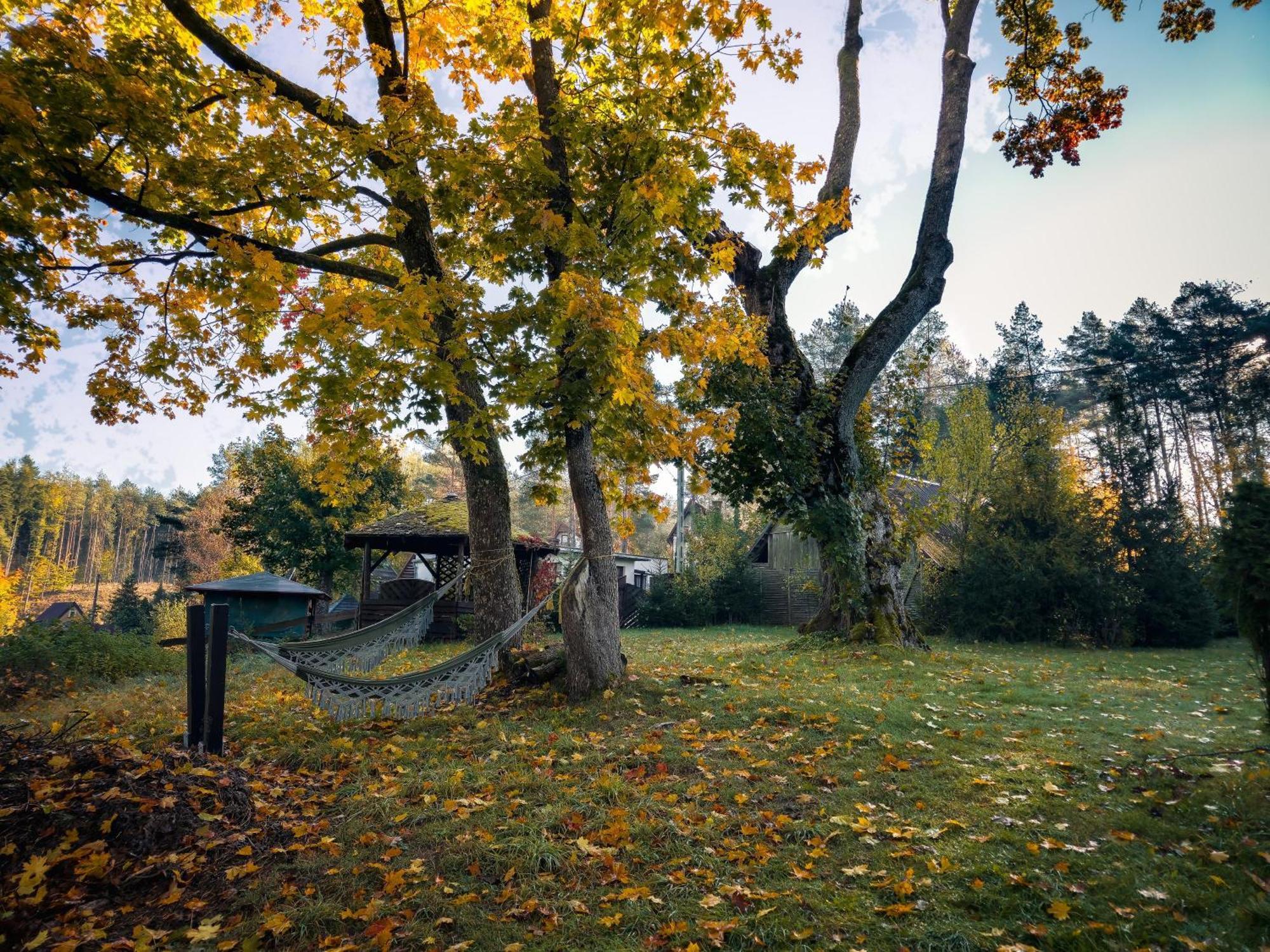 Dom Pod Klonem Na Kaszubach Villa Koscierzyna Exterior photo