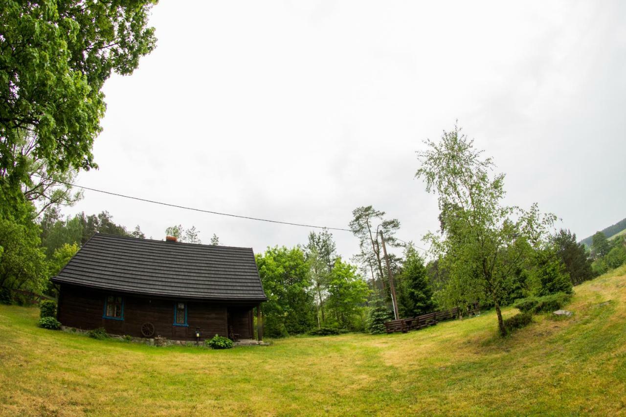 Dom Pod Klonem Na Kaszubach Villa Koscierzyna Exterior photo